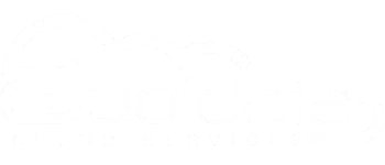 Audidata Cloud Services